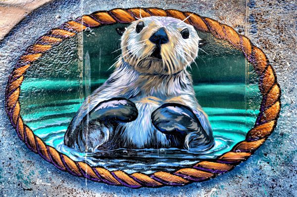 River Otter Mural in Downtown Victoria, Canada - Encircle Photos