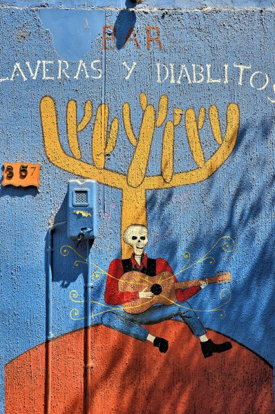 Calaveras y Diablitos Mural in Arica, Chile - Encircle Photos