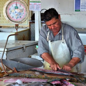 Merchant Fileting Fish at Fish Market in Arica, Chile - Encircle Photos