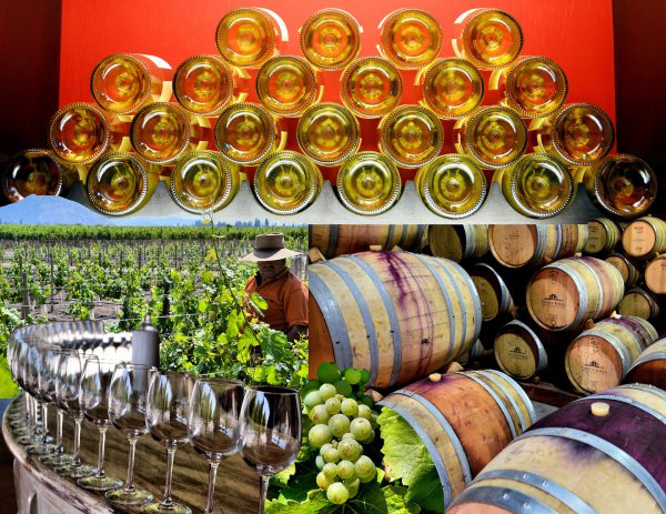 Central Chile Wine Region Composite of Five Photos - Encircle Photos