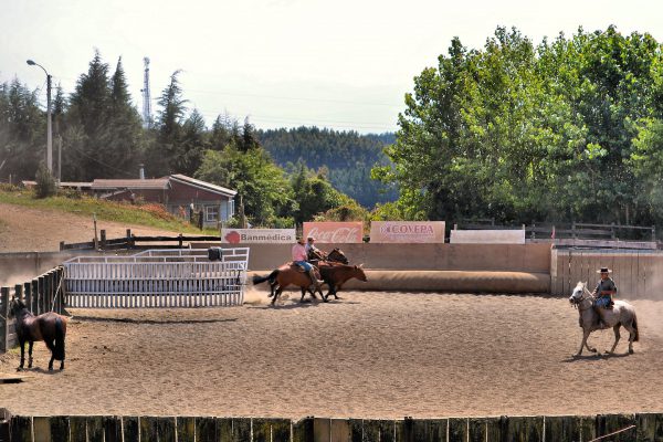 Team of Huasos in Corral with Steer in Frutillar, Chile - Encircle Photos