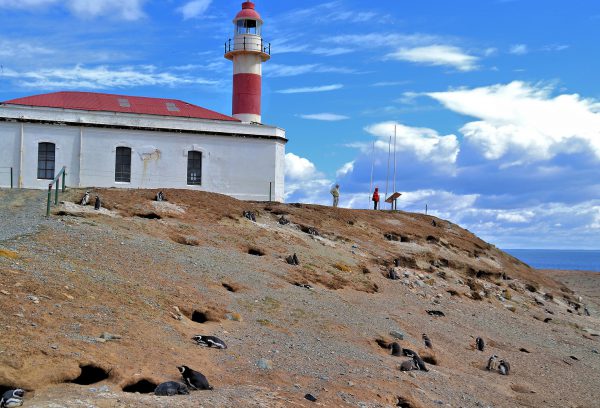 Lighthouse at Penguin Reserve on Magdalena Island, Chile - Encircle Photos