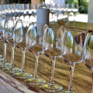 Wine Glasses at Concha y Toro Vineyard in Pirque, Chile - Encircle Photos