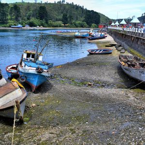 Angelmó Bay and Tenglo Island in Puerto Montt, Chile - Encircle Photos
