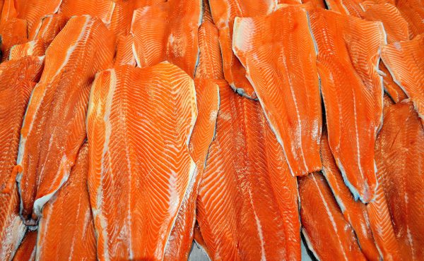 Salmon Fillets Displayed at Fish Market in Puerto Montt, Chile - Encircle Photos