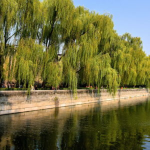 Tips for Visiting Forbidden City in Beijing, China - Encircle Photos