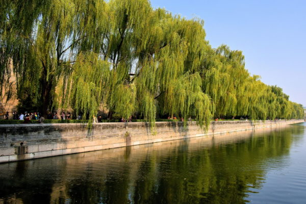 Tips for Visiting Forbidden City in Beijing, China - Encircle Photos