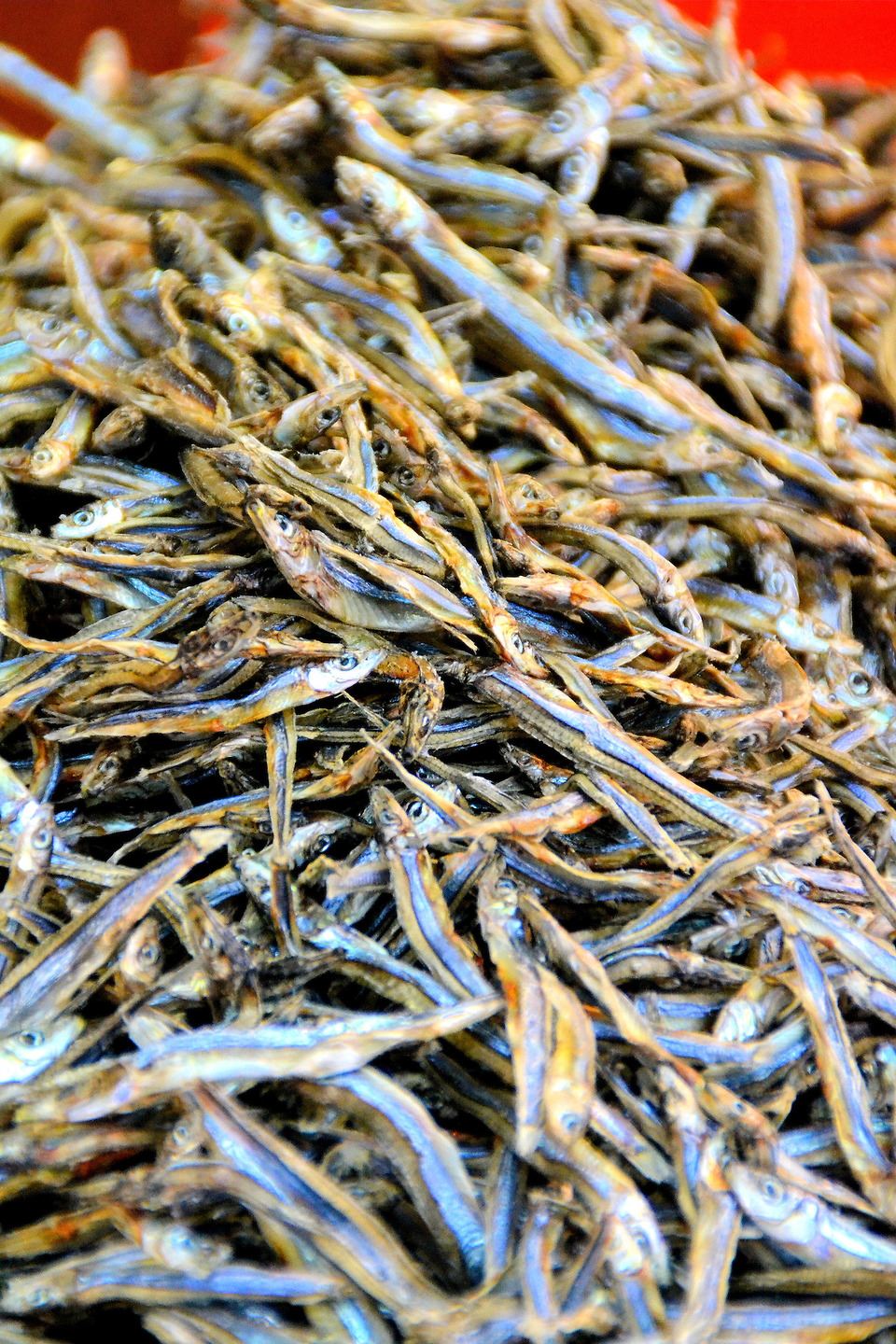 Dried Anchovies Fish at Street Market in Hong Kong, China Encircle Photos