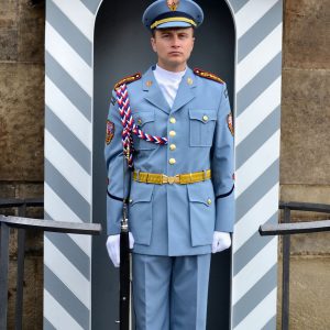 Guard at Entrance of Prague Castle in Prague, Czech Republic - Encircle Photos