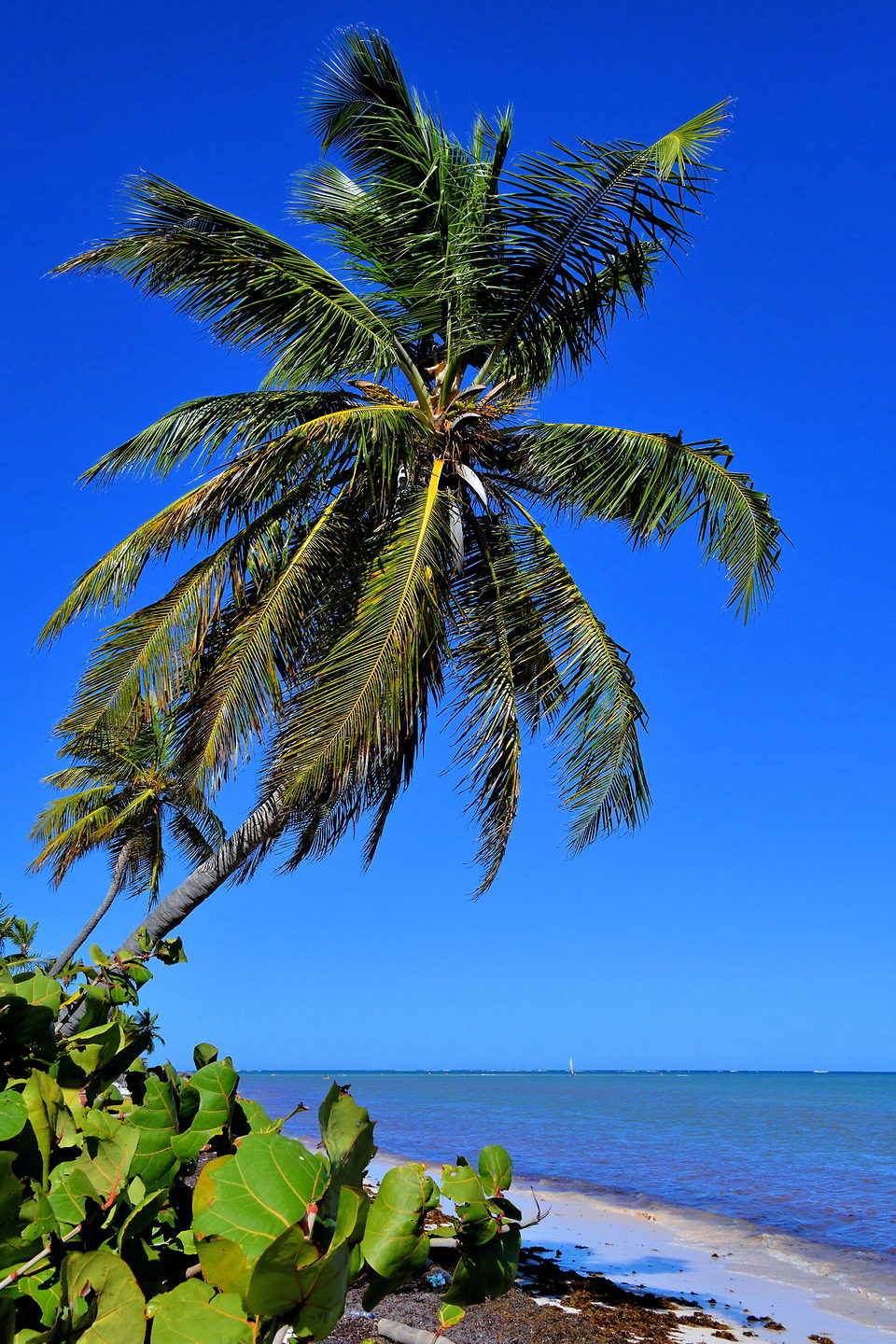 Public Beach at Cabeza de Toro in Punta Cana, Dominican Republic - Encircle Photos