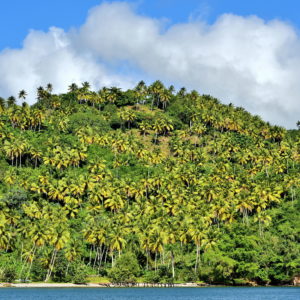 Samaná Peninsula in Dominican Republic - Encircle Photos
