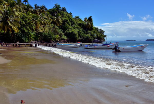 Playa Anadel near Samaná, Dominican Republic - Encircle Photos