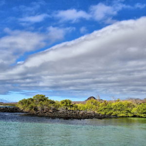 Boating around Eden Island near Santa Cruz in Galápagos, EC - Encircle Photos