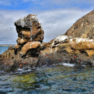 Introduction to Eden Island near Santa Cruz in Galápagos, EC - Encircle Photos