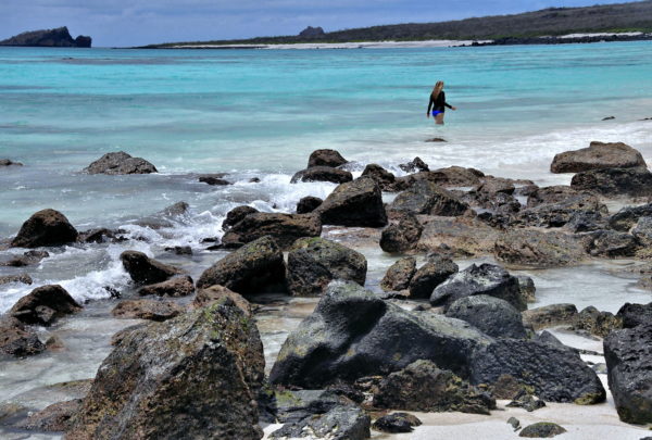 Swimming and Snorkeling at Gardner Bay on Española Island in Galápagos, EC - Encircle Photos