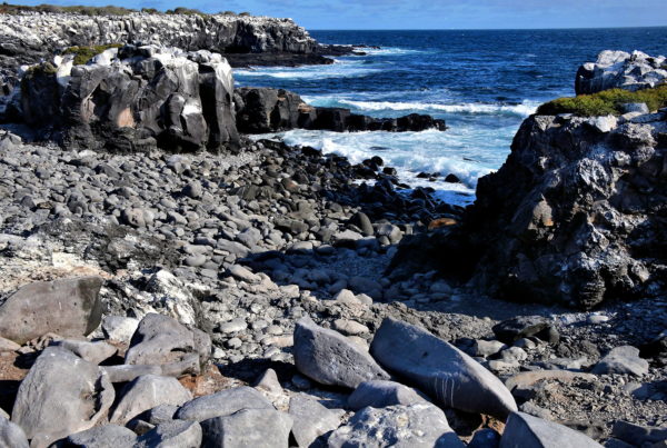 Eastern Seascape at Punta Suárez on Española Island in Galápagos, EC - Encircle Photos