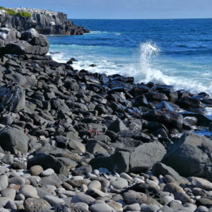 Geological Origin of Punta Suárez and Española Island in Galápagos, EC - Encircle Photos