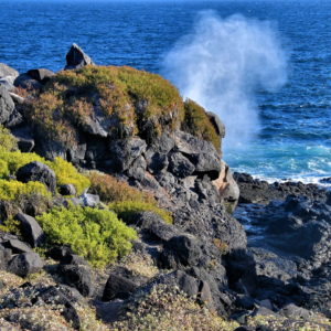 Southern Seascape of Punta Suárez on Española Island in Galápagos, EC - Encircle Photos