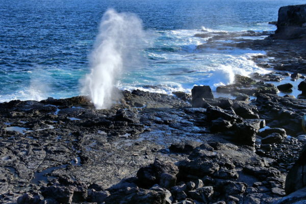 Spouting Blowhole at Punta Suárez on Española Island in Galápagos, EC - Encircle Photos