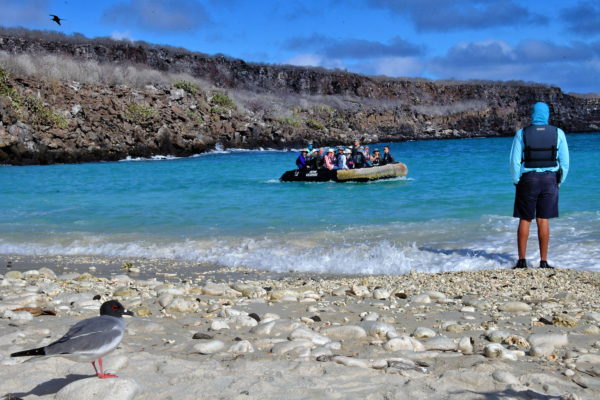 Arriving at Darwin Bay Beach on Genovesa in Galápagos, EC - Encircle Photos