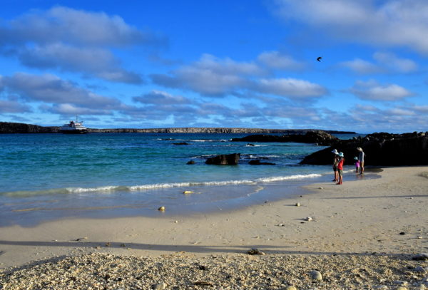 Savoring Final Moments at Darwin Bay Beach on Genovesa in Galápagos, EC - Encircle Photos