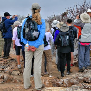 Tourists on Trail at Prince Phillip’s Steps on Genovesa in Galápagos, EC - Encircle Photos