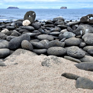 Beach on North Seymour in Galápagos, EC - Encircle Photos