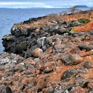 Wildlife Photographer on North Seymour in Galápagos, EC - Encircle Photos