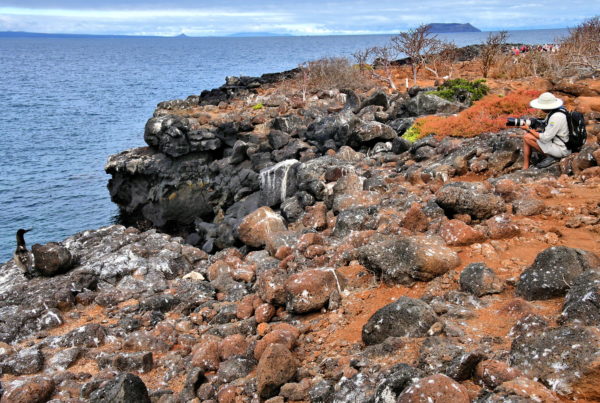 Wildlife Photographer on North Seymour in Galápagos, EC - Encircle Photos