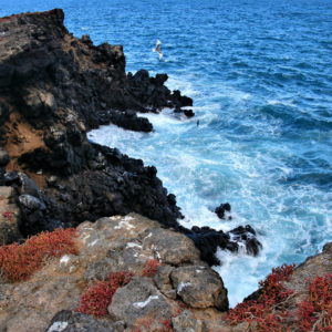 Dramatic Cliff on Plaza Sur near Santa Cruz in Galápagos, EC - Encircle Photos