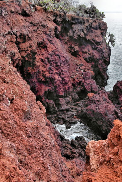 Color Variations of Rábida Island in Galápagos, EC - Encircle Photos