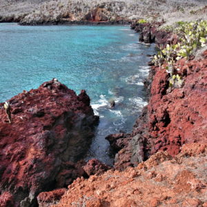Eastern Coastline of Rábida Island in Galápagos, EC - Encircle Photos