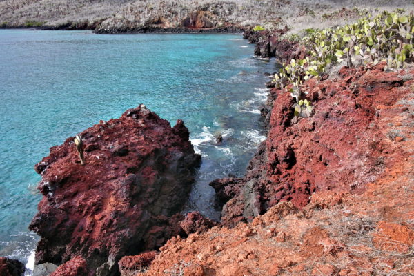 Eastern Coastline of Rábida Island in Galápagos, EC - Encircle Photos