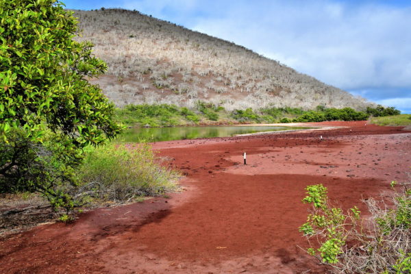 Saltwater Lagoon on Rábida Island in Galápagos, EC - Encircle Photos