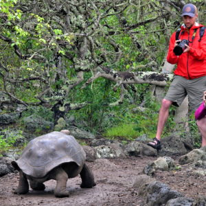 La Galapaguera Tortoise Reserve on San Cristóbal Island in Galápagos, EC - Encircle Photos