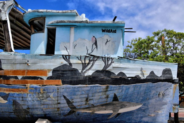 Boat Mural at Puerto Baquerizo Moreno on San Cristóbal Island in Galápagos, EC - Encircle Photos