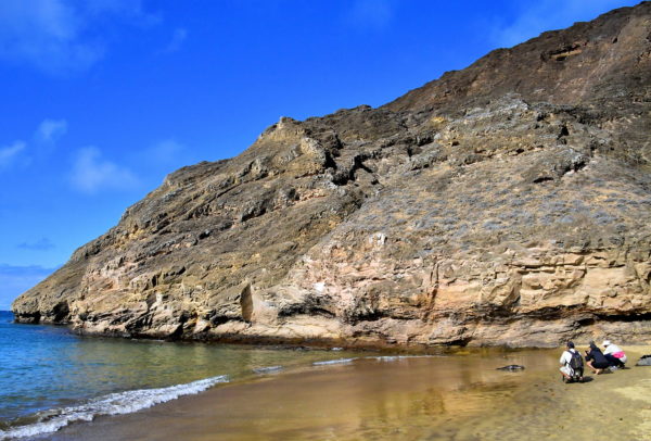 Sea Lions at Punta Pitt on San Cristóbal Island in Galápagos, EC - Encircle Photos
