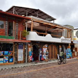 Avenue Charles Darwin in Puerto Ayora on Santa Cruz Island in Galápagos, EC - Encircle Photos