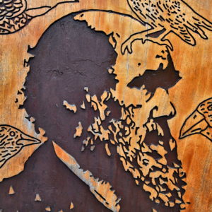 Charles Darwin Carving in Puerto Ayora on Santa Cruz Island in Galápagos, EC - Encircle Photos