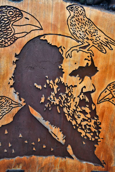 Charles Darwin Carving in Puerto Ayora on Santa Cruz Island in Galápagos, EC - Encircle Photos
