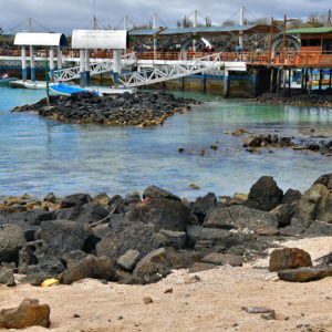Municipal Pier in Puerto Ayora on Santa Cruz Island in Galápagos, EC - Encircle Photos