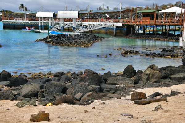Municipal Pier in Puerto Ayora on Santa Cruz Island in Galápagos, EC - Encircle Photos