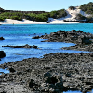 Beach at Sullivan Bay on Santiago Island in Galápagos, EC - Encircle Photos