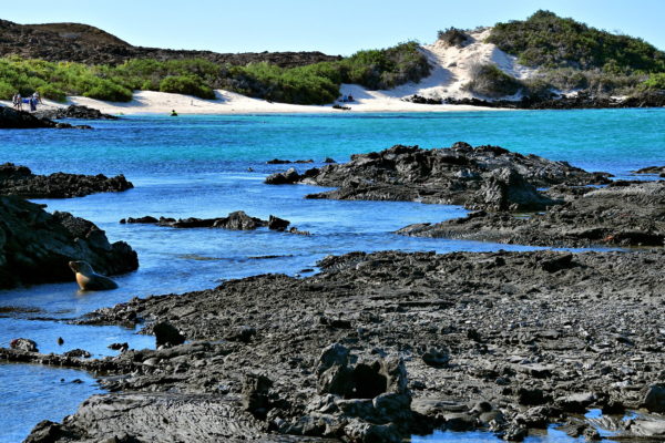 Beach at Sullivan Bay on Santiago Island in Galápagos, EC - Encircle Photos