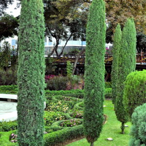 Botanical Gardens at Malecón 2000 in Guayaquil, Ecuador - Encircle Photos