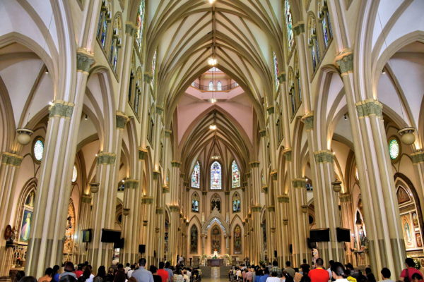 Metropolitan Cathedral Nave at Seminario Park in Guayaquil, Ecuador - Encircle Photos