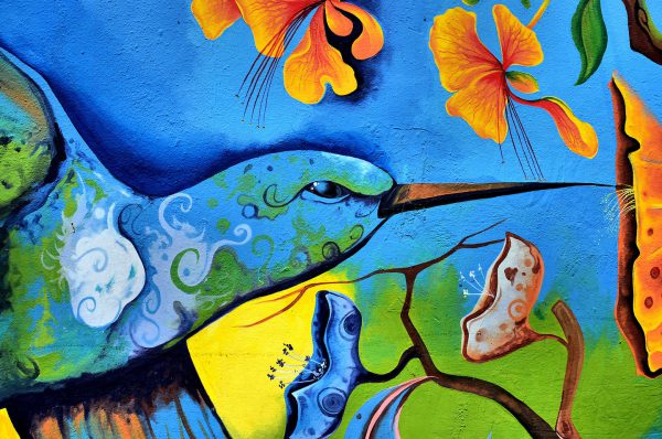 Hummingbird Drinking Nectar from Flower Mural in Manta, Ecuador - Encircle Photos