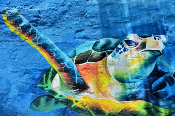 Pacific Green Sea Turtle Mural in Manta, Ecuador - Encircle Photos
