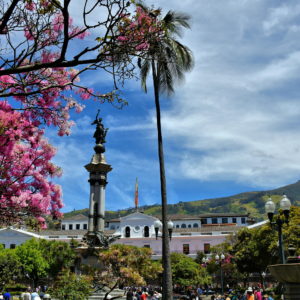 La Plaza Grande in Quito, Ecuador - Encircle Photos