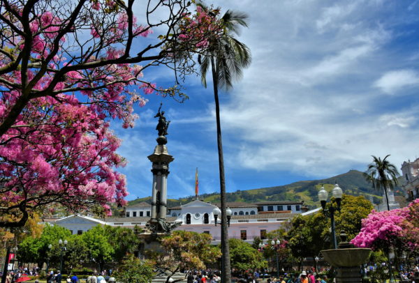 La Plaza Grande in Quito, Ecuador - Encircle Photos
